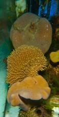 DSCN4436 DSCN4436