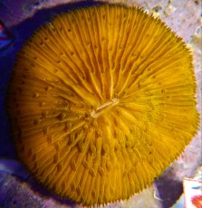 DSCN4463 DSCN4463