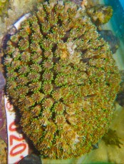 DSCN4502 DSCN4502