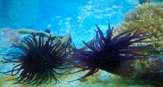 DSCN4823 DSCN4823