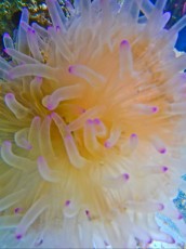 DSCN5968 DSCN5968