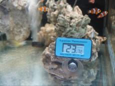 TERMOMETER TERMOMETER