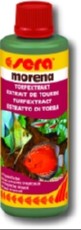 MORENA MORENA