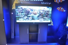 akvarij Juwel Marine