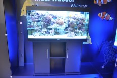 akvarij Juwel Marine akvarij Juwel Marine