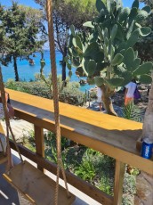 Anthony Quinn bay kaktus Anthony Quinn bay kaktus