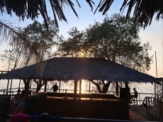 PEFKOULIA10 PEFKOULIA10