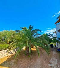 SANTA MARINA2 SANTA MARINA2