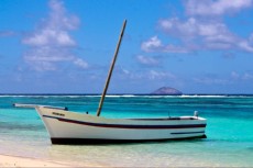 BEAUTY OF MAURITIUS1 BEAUTY OF MAURITIUS1