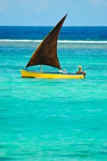 BEAUTY OF MAURITIUS3 BEAUTY OF MAURITIUS3