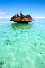 BEAUTY OF MAURITIUS4 BEAUTY OF MAURITIUS4