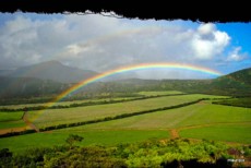 BEAUTY OF MAURITIUS6