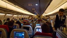 Turkish airline Turkish airline