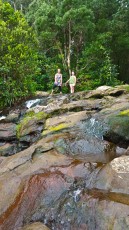 beutiful nature beutiful nature