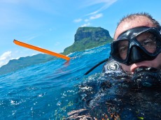 diving diving