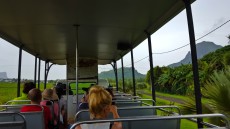 voznja na zipline voznja na zipline