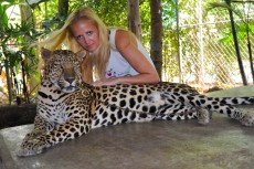 leopard show leopard show
