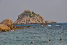 shark island shark island