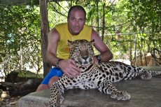 slikanje z leopardom slikanje z leopardom
