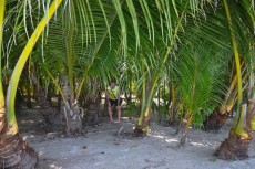 Maldivi Maldivi