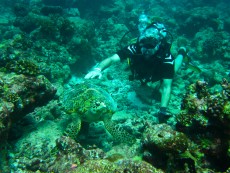 diving Maldivi