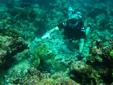 diving Maldivi diving Maldivi