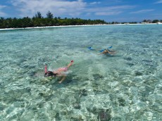 snorkljanje Maldivi snorkljanje Maldivi