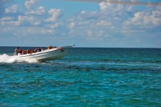 Caribbean speed both Caribbean speed both