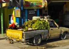 chicita banana chicita banana