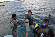 dive master dive master