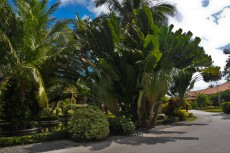 hotel gran palladium bavaro resort hotel gran palladium bavaro resort