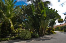 hotel gran palladium bavaro resort