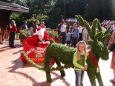 Loro Park Loro Park