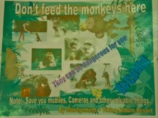 31 DONT FEED THE MONKEYS 31 DONT FEED THE MONKEYS