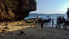 31 MONKEY BEACH PHI PHI DON