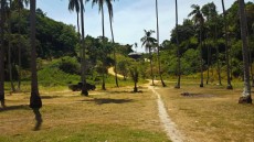 66AVTO NA PHI PHI DON 66AVTO NA PHI PHI DON