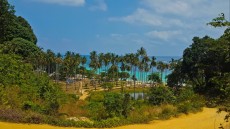 66PALME PHI PHI DON 66PALME PHI PHI DON