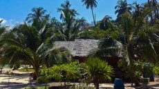 66PARADISE ON PHI PHI DON 66PARADISE ON PHI PHI DON