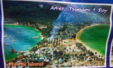 97 AFTER TSUNAMI 97 AFTER TSUNAMI