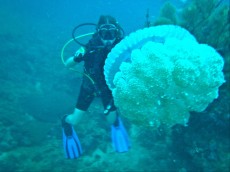 CREEPY CREATURES ON PHI PHI DON CREEPY CREATURES ON PHI PHI DON