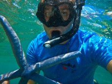 PRODIVE PRODIVE