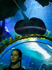 AQUARIA TUNEL AQUARIA TUNEL