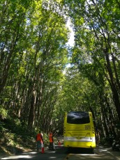 BEAUTIFUL NATURE BOHOL BEAUTIFUL NATURE BOHOL