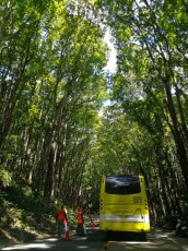 BEAUTIFUL NATURE BOHOL