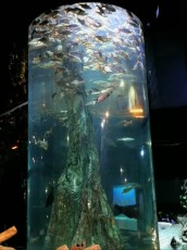 BIG TANK KUALA LUMPUR