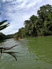 BOHOL RIVER TRIP