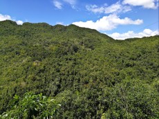 CABLE CAR BOHOL