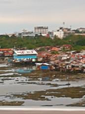 CEBU REVSCINA CEBU REVSCINA