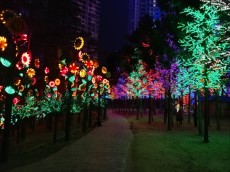 CITY OF DIGITAL LIGHTS CITY OF DIGITAL LIGHTS
