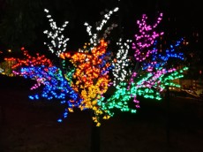LED LUCKE LED LUCKE